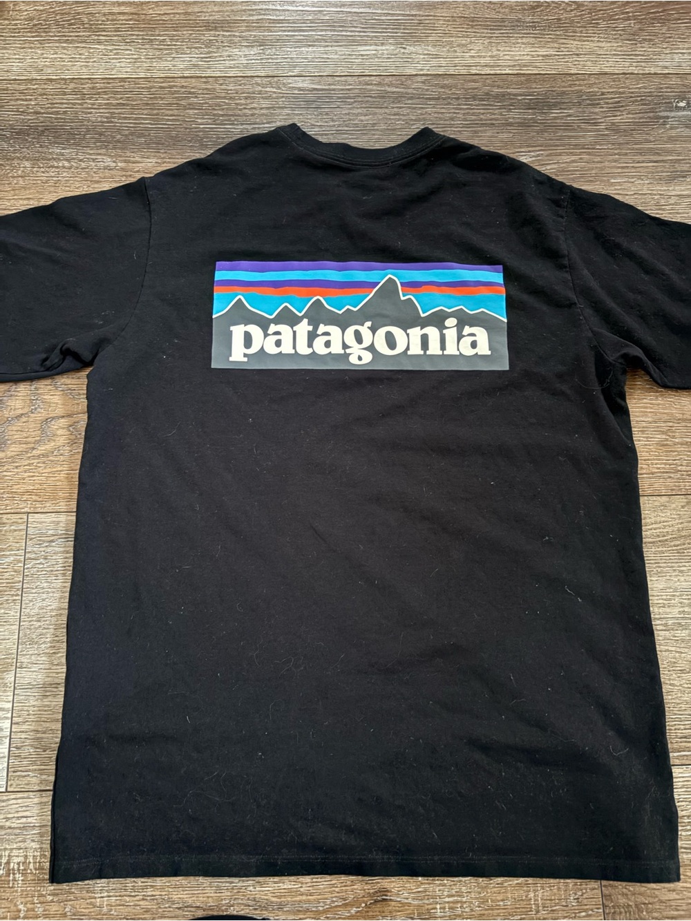 Patagonia Black T-Shirt with Multicolor Mountain Logo Mens small